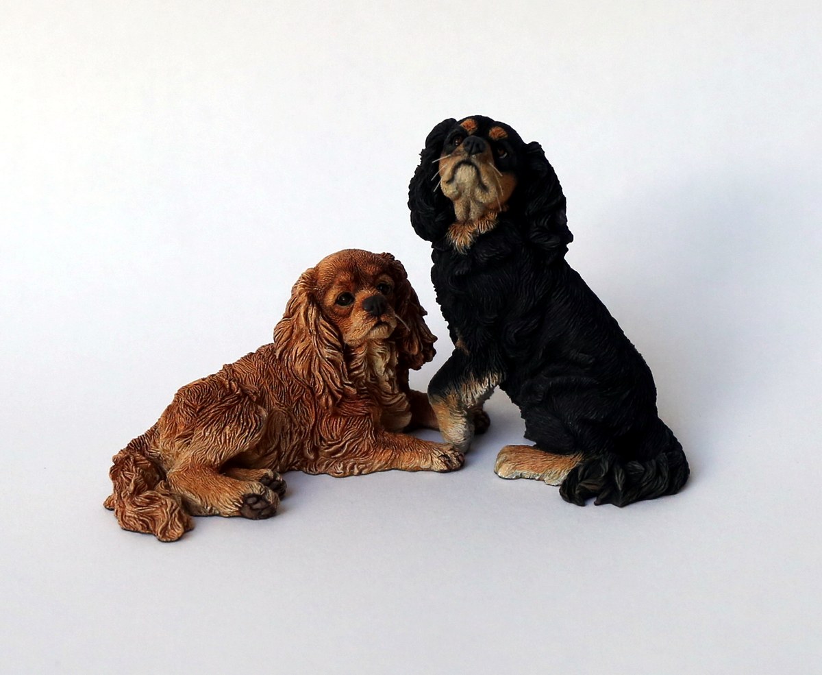 King Charles Spaniels